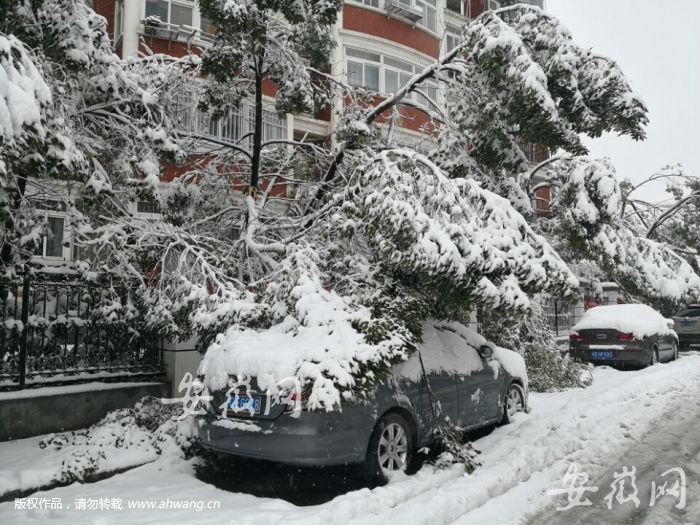 安徽等多地区突降大雪 安徽等多地区突降大雪