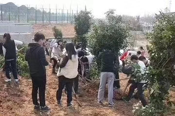 kaiyun开云官方网站节能植树节植树活动
